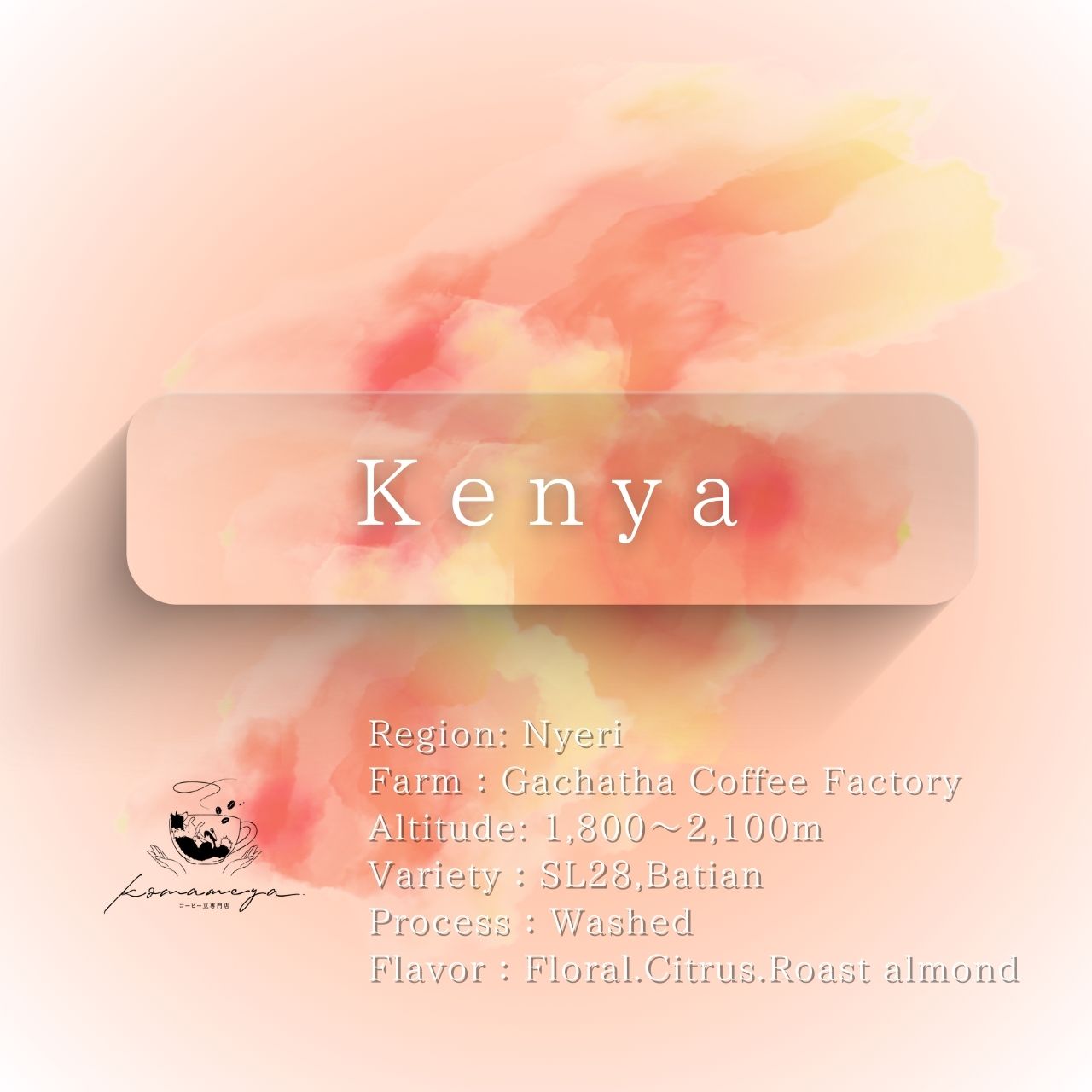 Kenya ADALONIA AA Washed