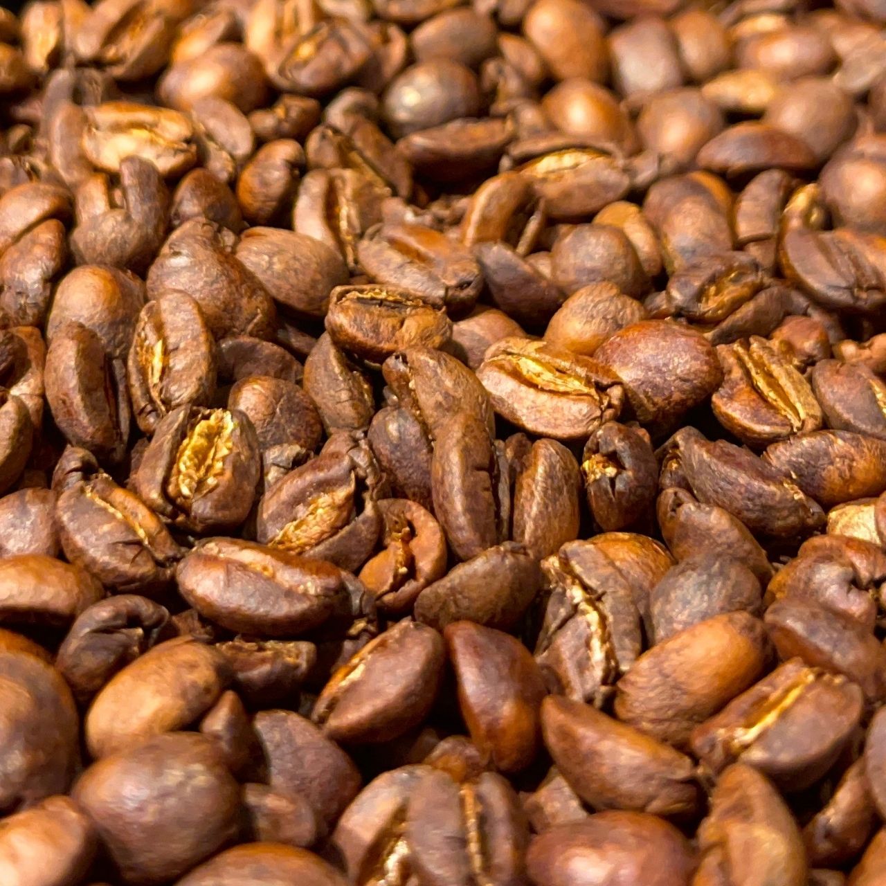 Brazil COE WET#9 Geisha Washed|Medium Roast - 画像 (2)