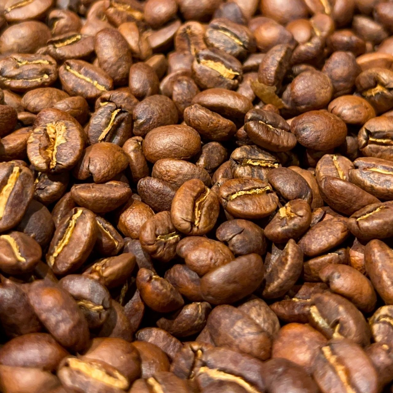 Kenya Masai AA Washed - 画像 (2)