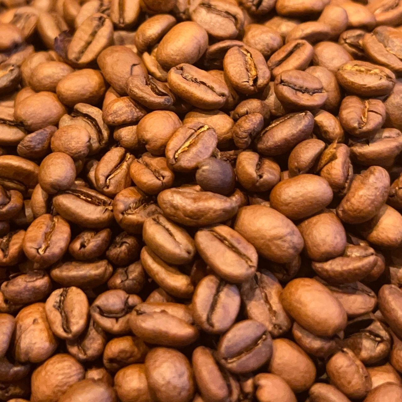 Ethiopia Yirgacheffe Bunabuna G1 Natural - 画像 (2)