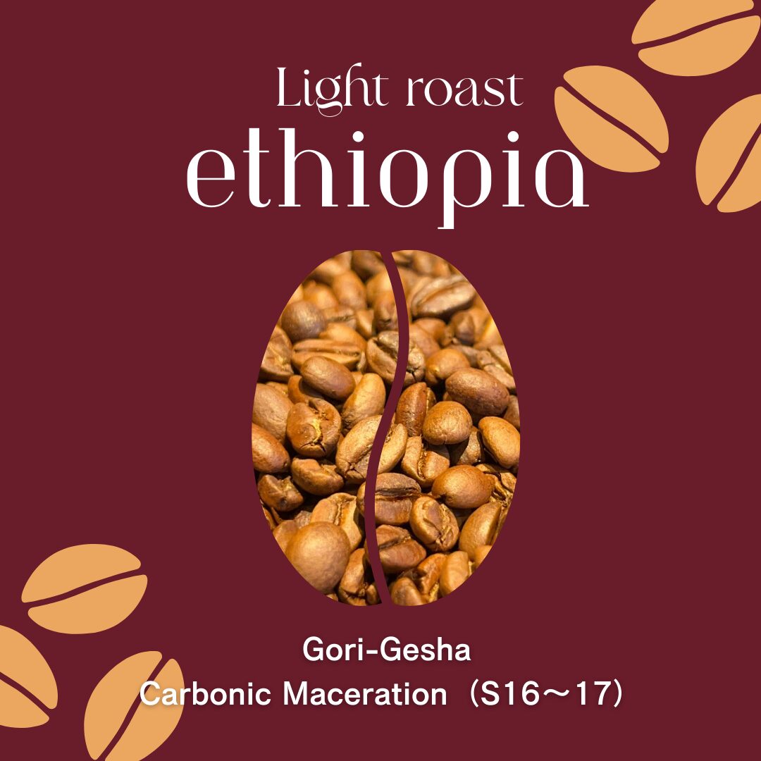 【エチオピア】Gori-Gesha Carbonic Maceration|Light Roast