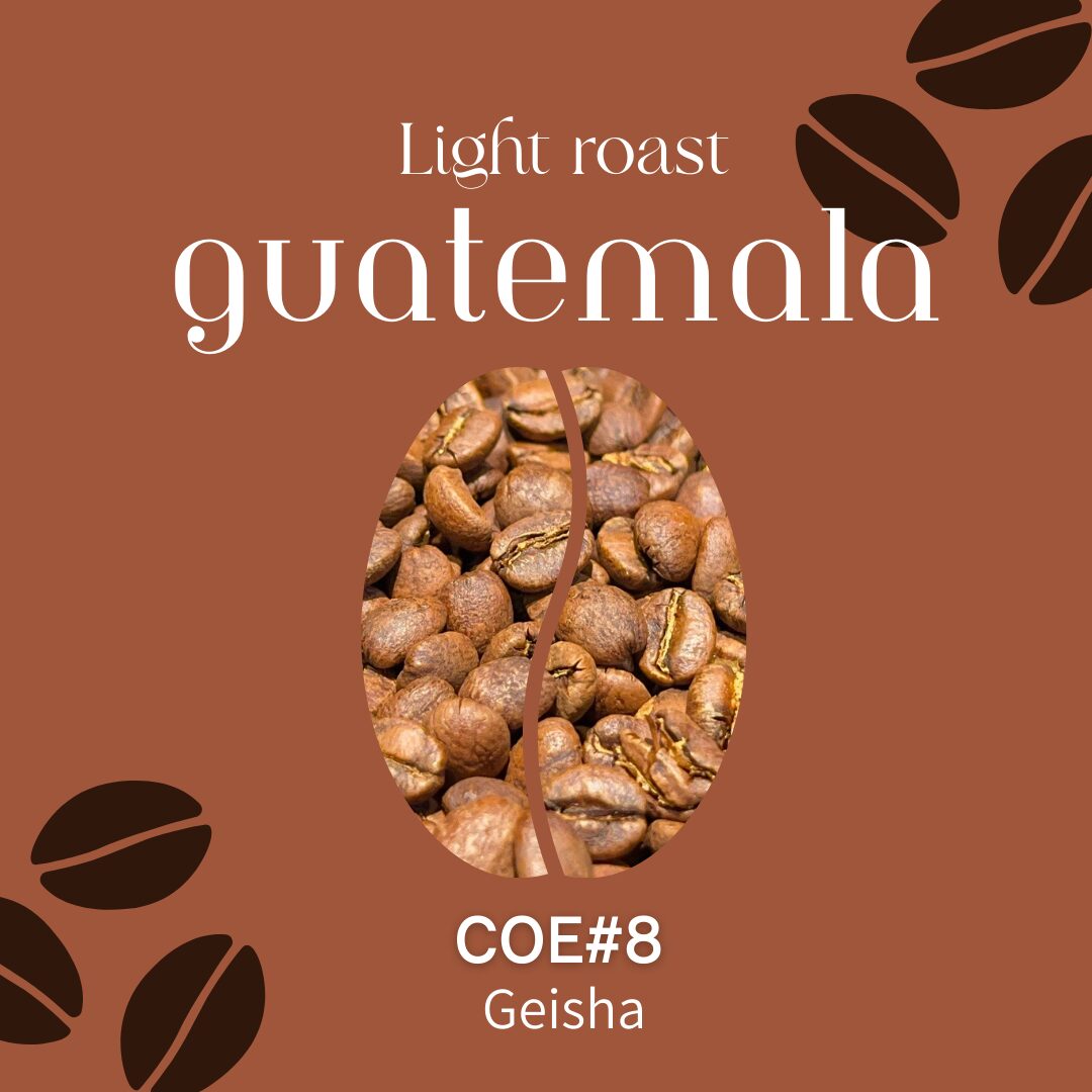 【グアテマラ】COE#8 Geisha Washed|Light Roast
