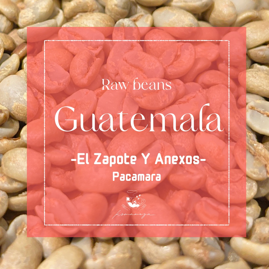 【生豆】グアテマラ El Zapote Pacamara|Natural